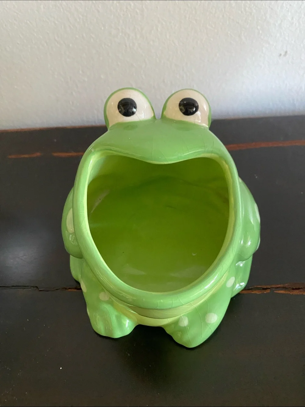 Fun Frog planter pot Ceramic